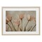 Stupell Industries Pale Pink Poppies Bundle Framed Print Under Glass, design by Franklyn Gregory